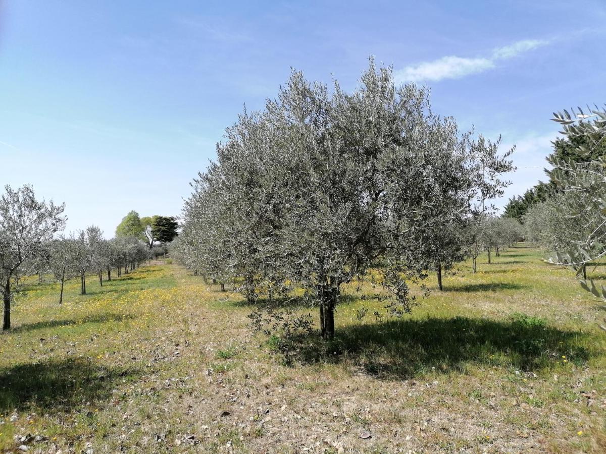 Agriturismo Colombare Teboi Apartamento Lazise Exterior foto