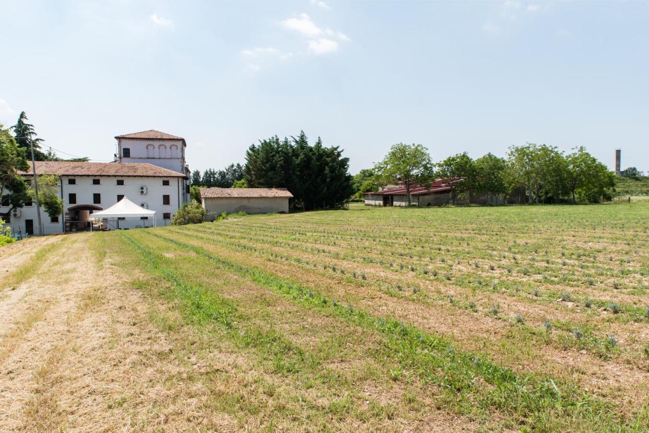 Agriturismo Colombare Teboi Lazise Exterior foto