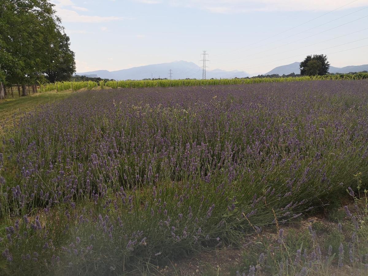 Agriturismo Colombare Teboi Apartamento Lazise Exterior foto