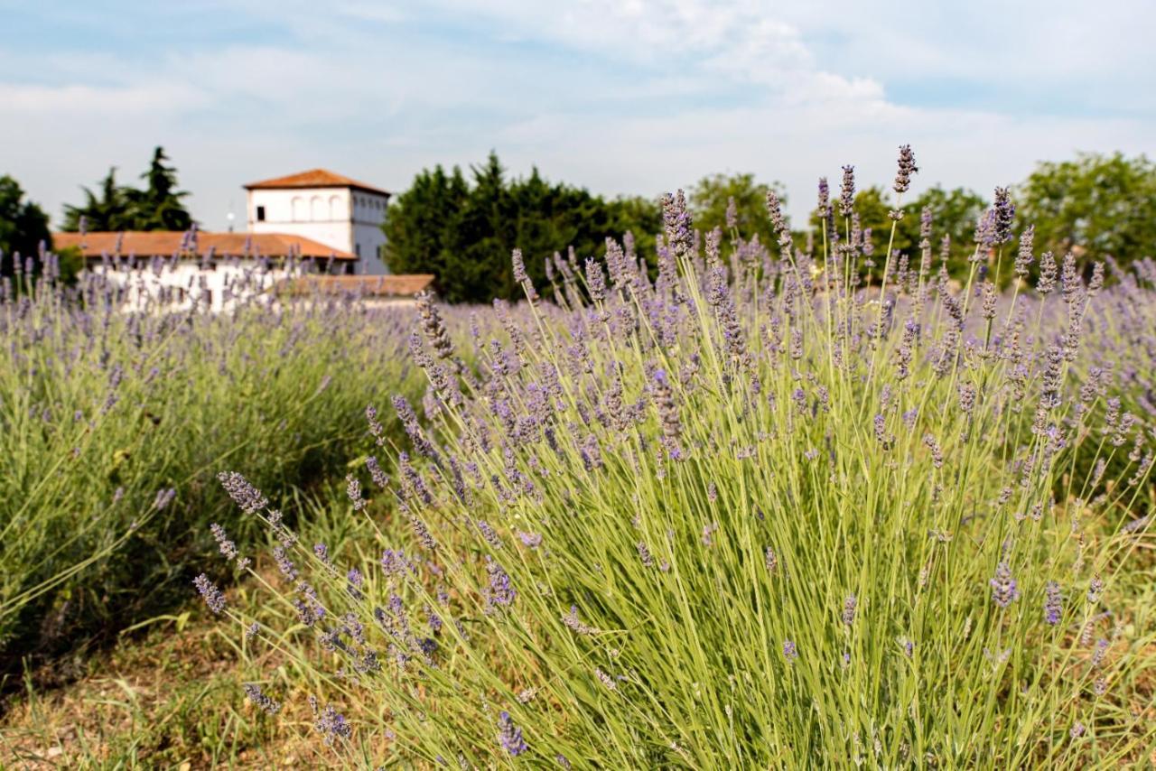 Agriturismo Colombare Teboi Apartamento Lazise Exterior foto